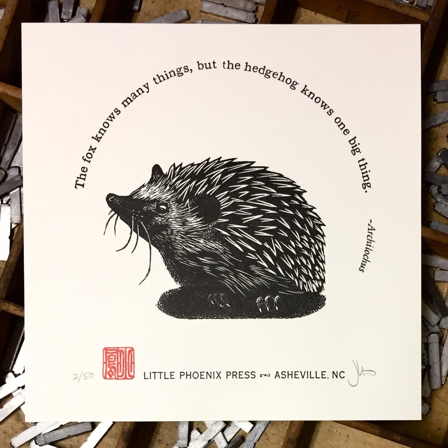 Hedgehog Knows